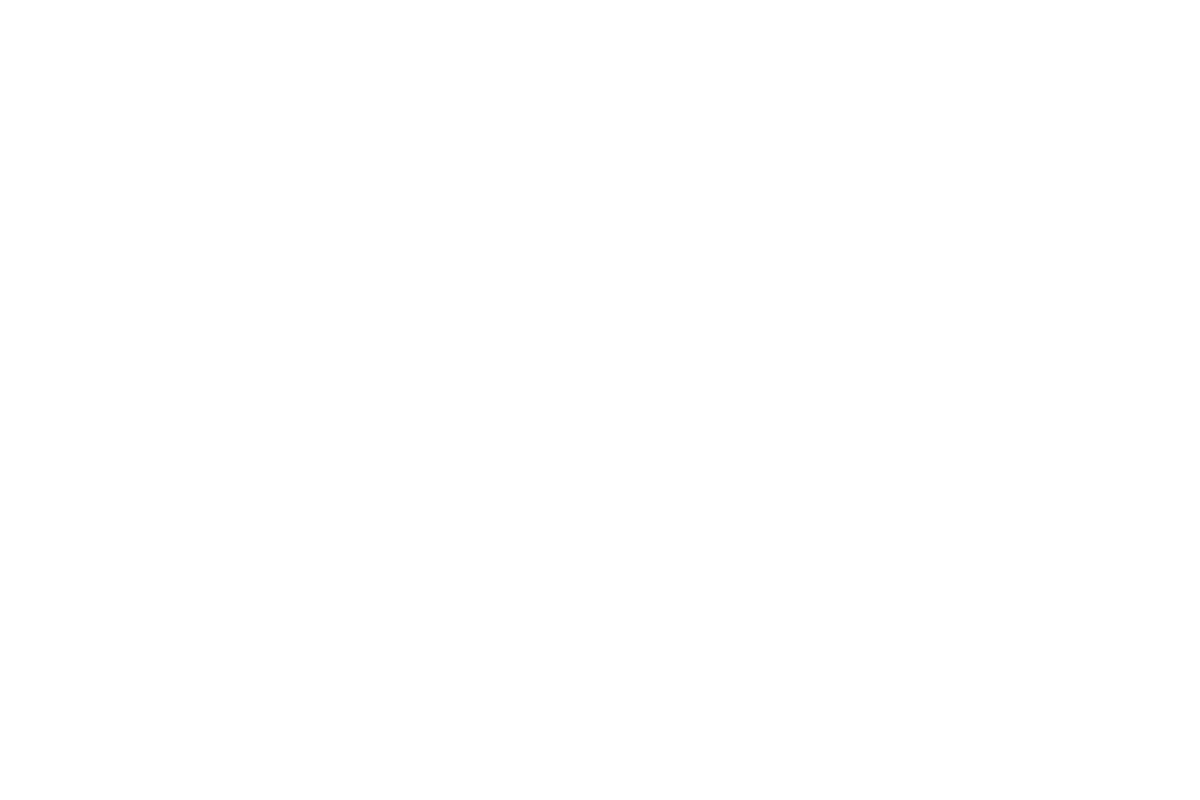 Lauren Pasche Photographe